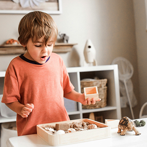 Photo of boy in room playing with a selection of shells.